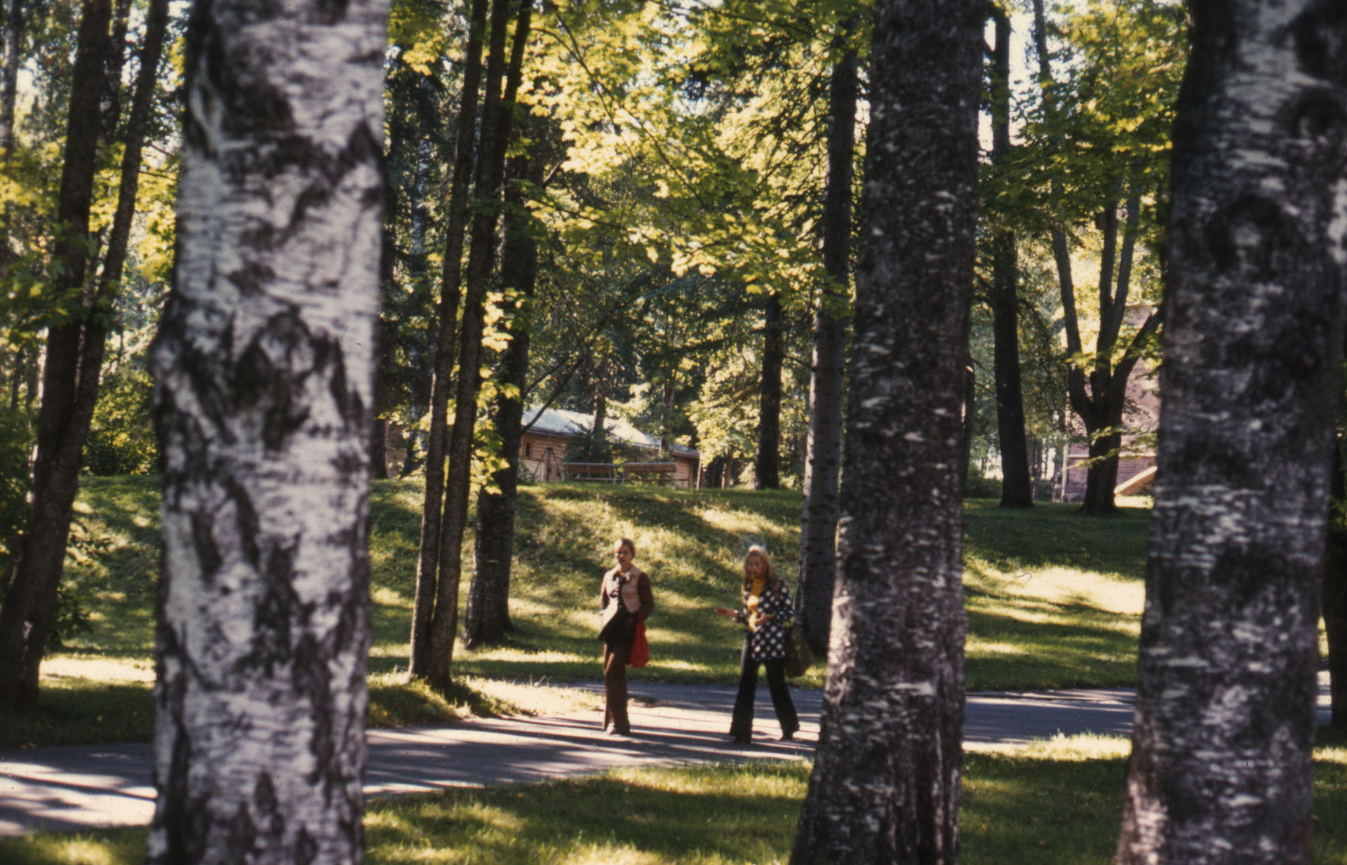 Puistoalue, valokuva